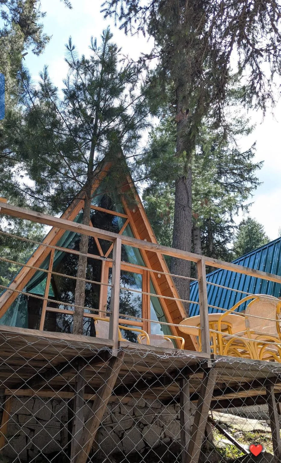 Karvaan’s timber A-frame glamp nestled between deodar trees
